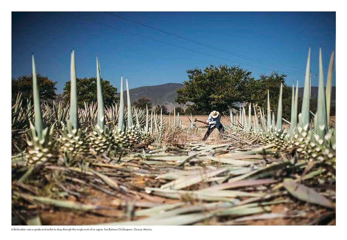 Spirits of Latin America: A Celebration of Culture & Cocktai