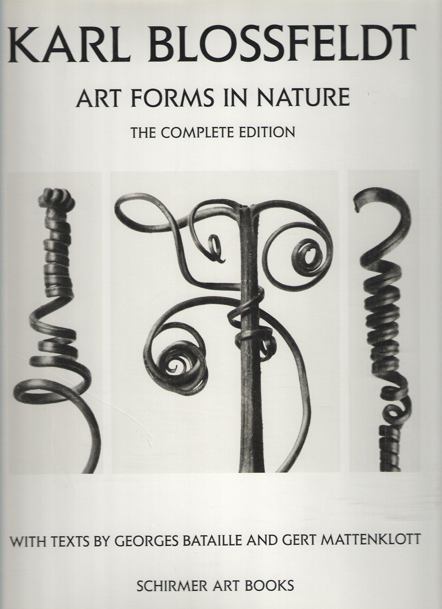 Karl Blossfeldt: Art Forms in Nature by Bataille, Georges