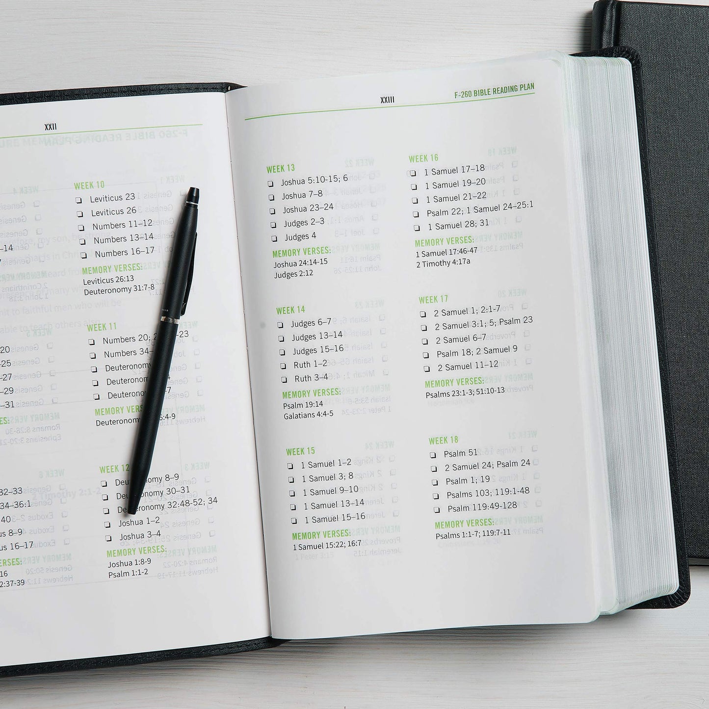 CSB Disciple's Study Bible, Black LeatherTouch, Black Letter, One Year, Reading Plan, Journaling Space, Study Notes and Commentary, Articles, Easy-to-Read Bible Serif Type