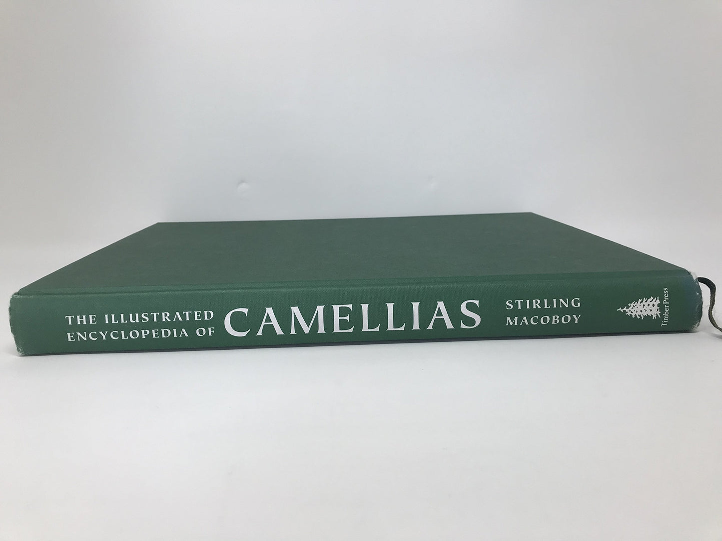 The Illustrated Encyclopedia of Camellias by Macoboy, Stirli