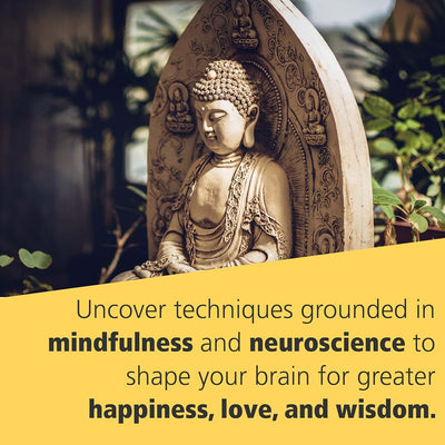 Buddha's Brain: The Practical Neuroscience of Happiness, Love, and Wisdom