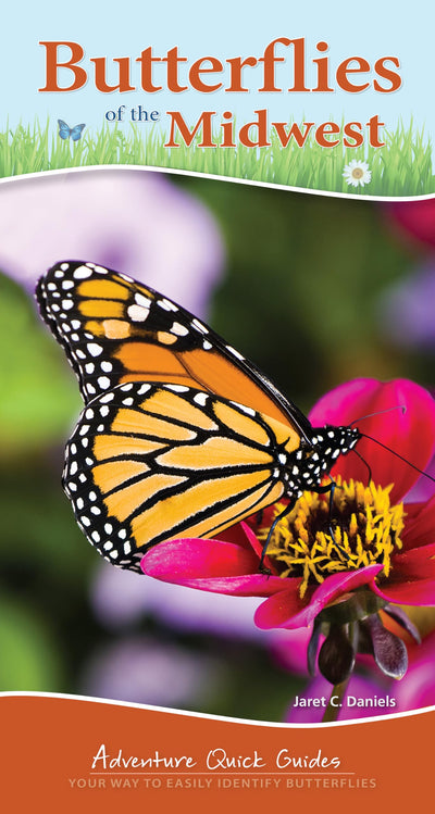 Butterflies of the Midwest: Identify Butterflies with Ease (Adventure Quick Guides)