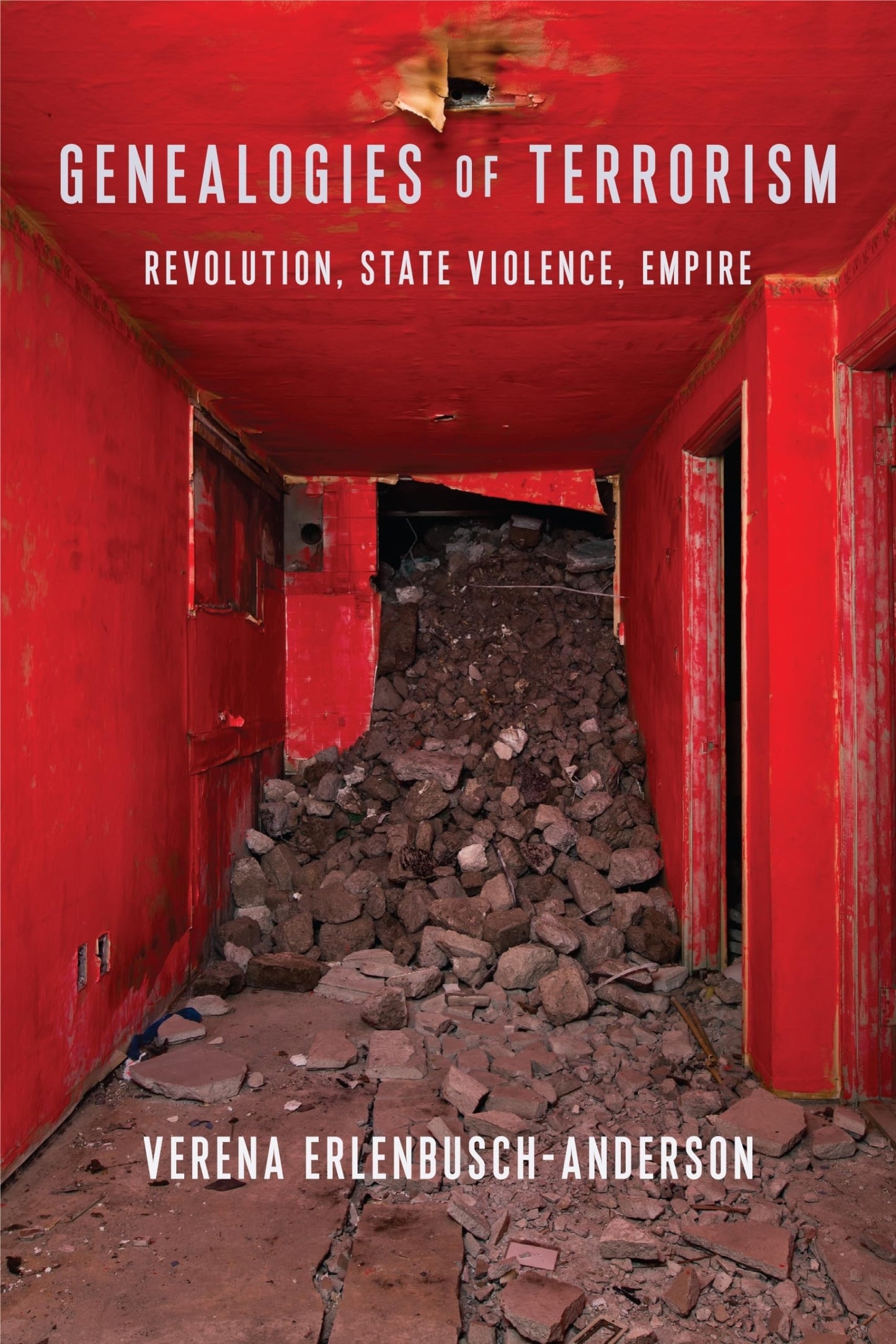 Genealogies of Terrorism: Revolution, State Violence, Empire (New Directions in Critical Theory, 66)
