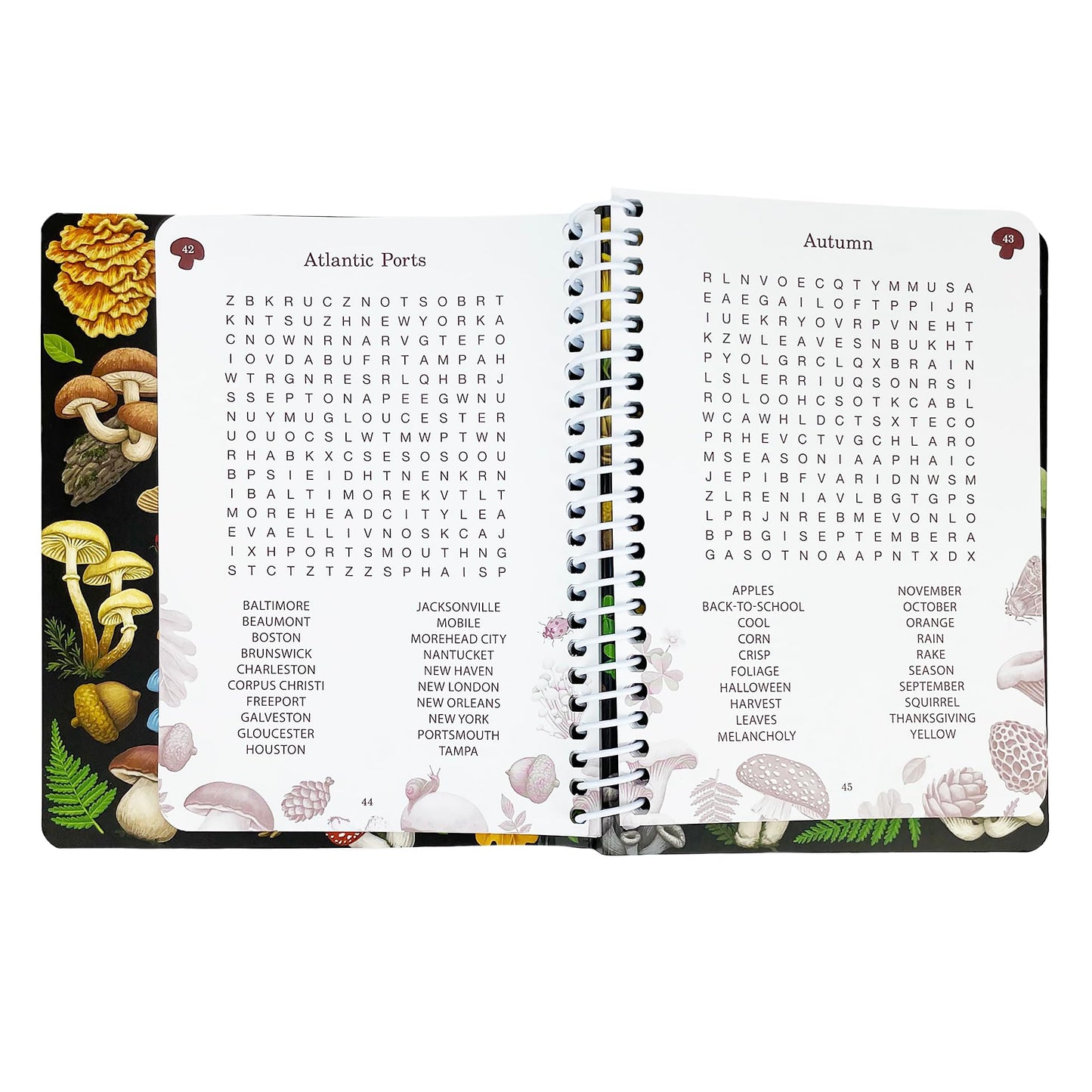 Pocket Puzzle Word Search: Puzzles for Clarity, Travel Sized (Brain Busters)