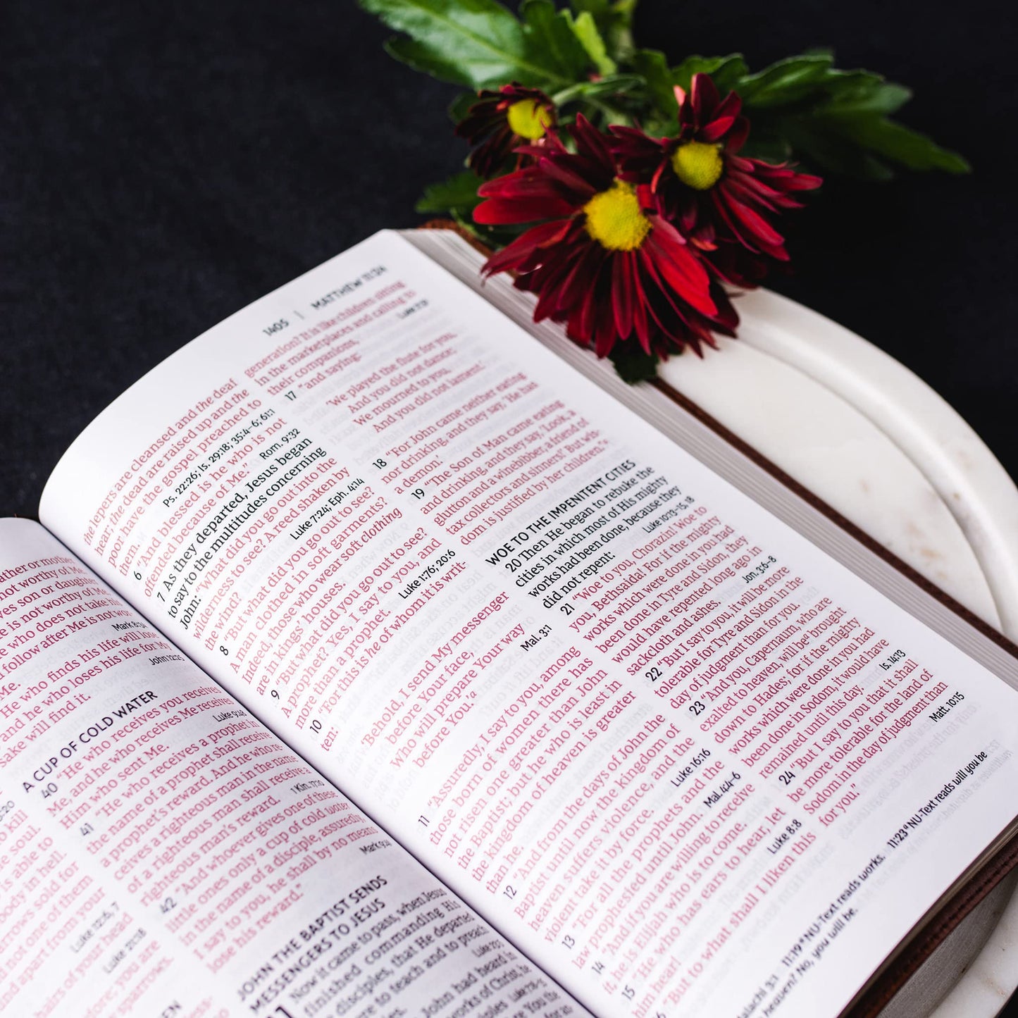 NKJV, End-of-Verse Reference Bible, Personal Size Large Prin