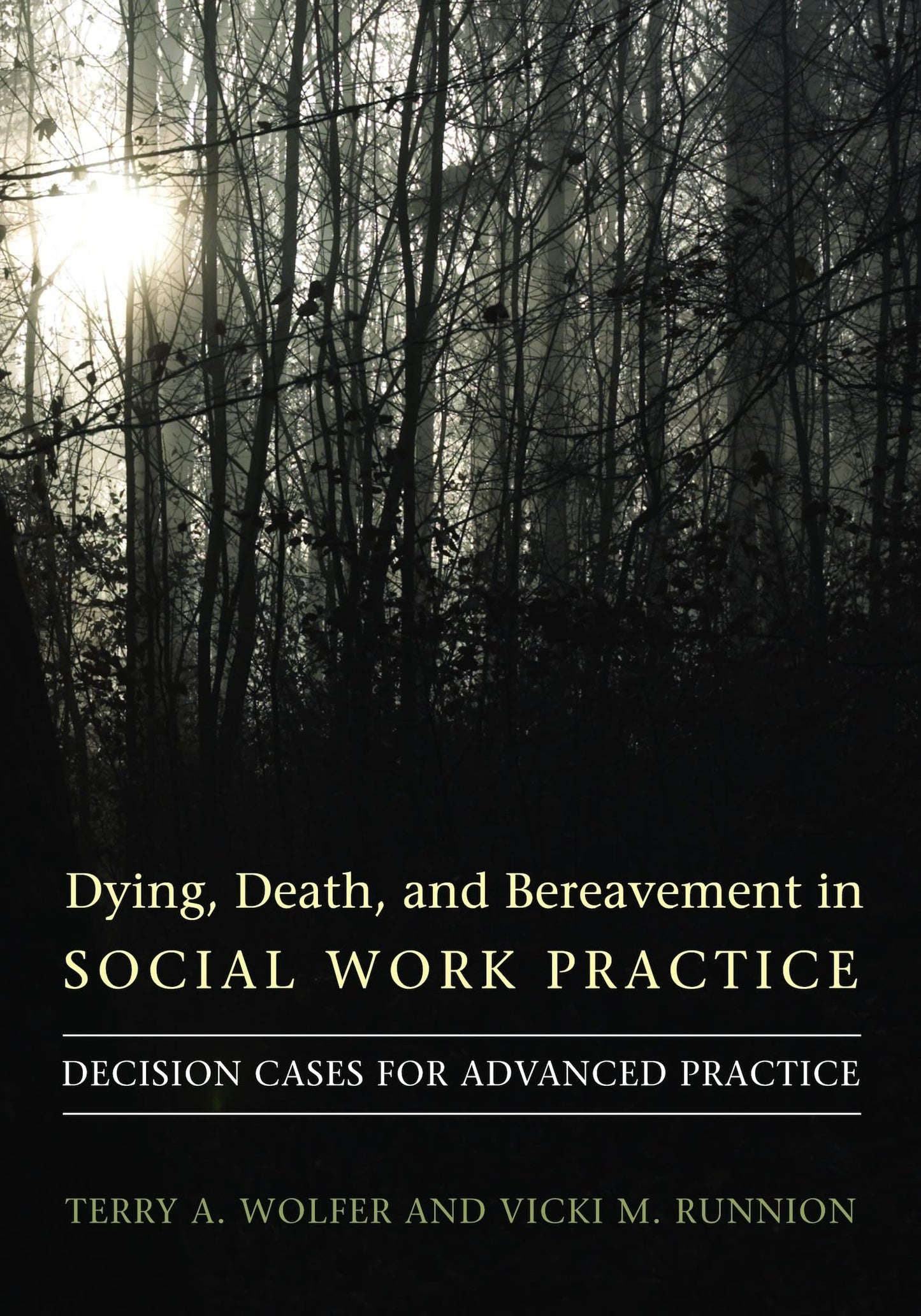 Dying, Death, and Bereavement in Social Work Practice: Decision Cases for Advanced Practice (End-of-Life Care: A Series)