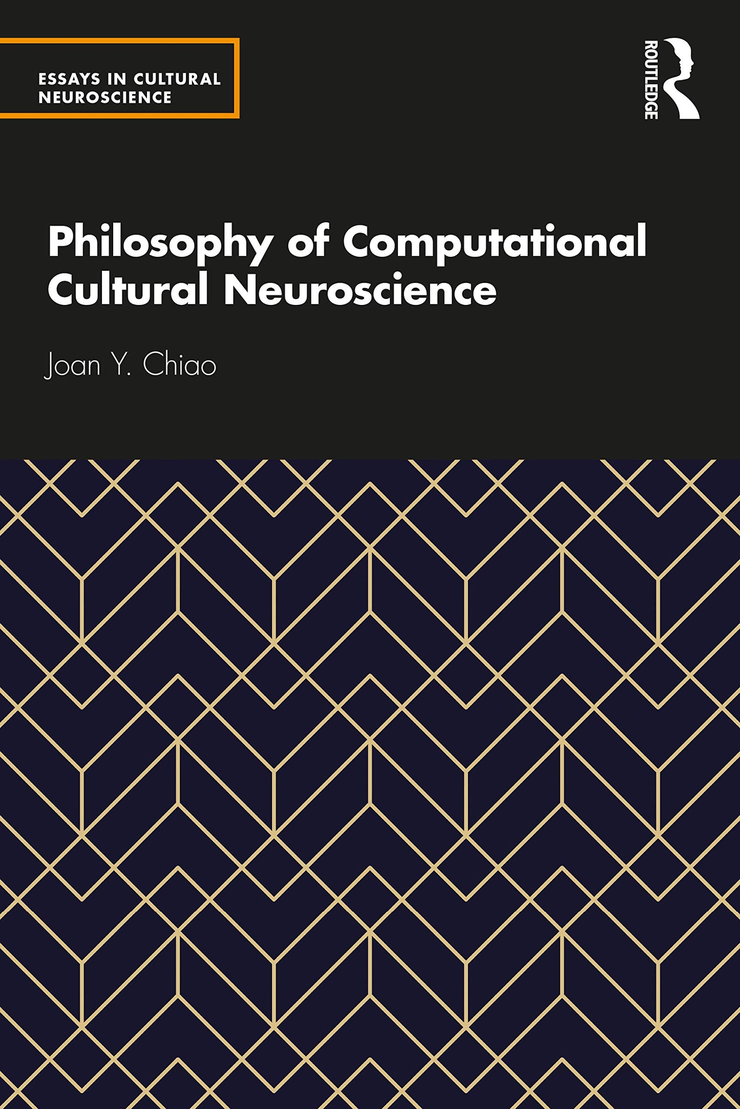 Philosophy of Computational Cultural Neuroscience (Essays in Cultural Neuroscience)