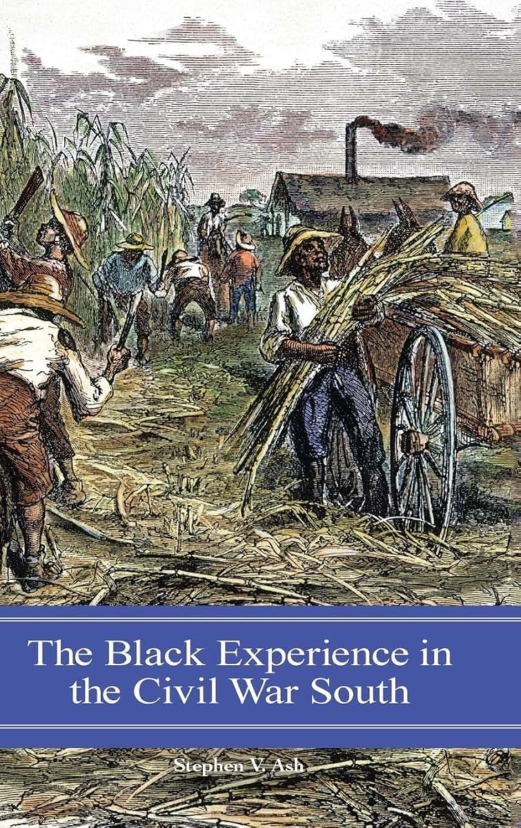 The Black Experience in the Civil War South (Reflections on the Civil War Era)
