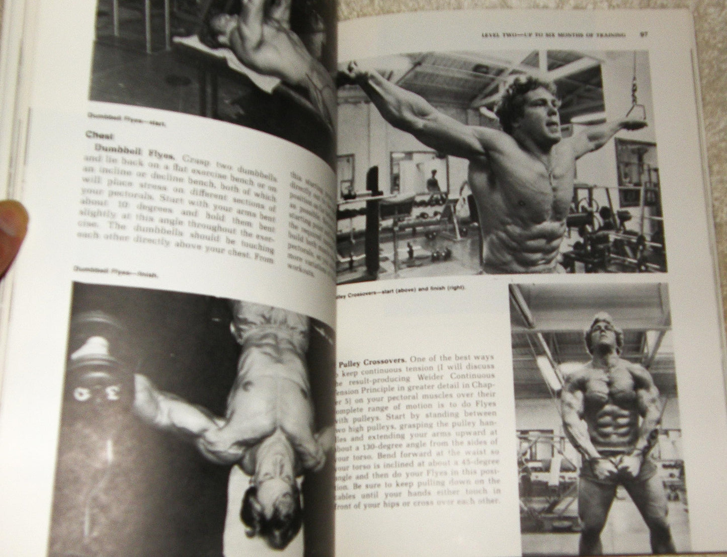 Bodybuilding: The Weider Approach