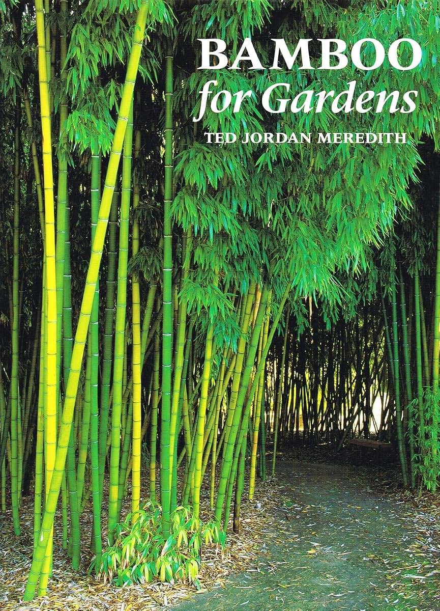 Bamboo for Gardens