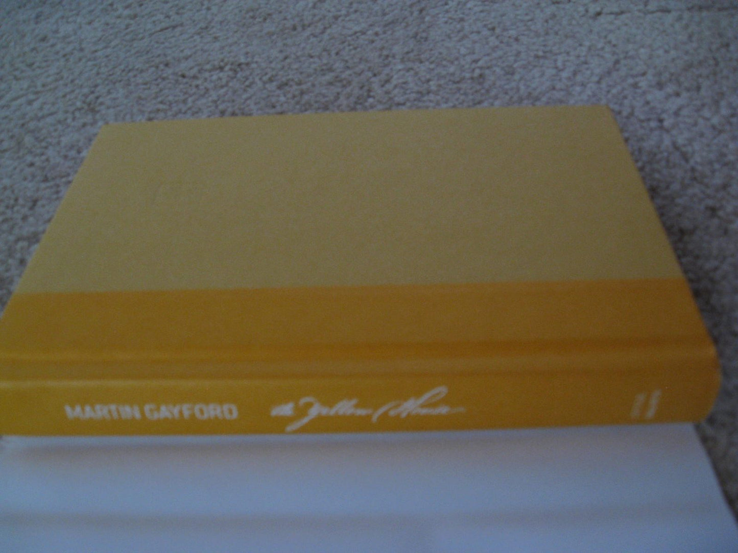 The Yellow House: Van Gogh, Gauguin, and Nine Turbulent Weeks