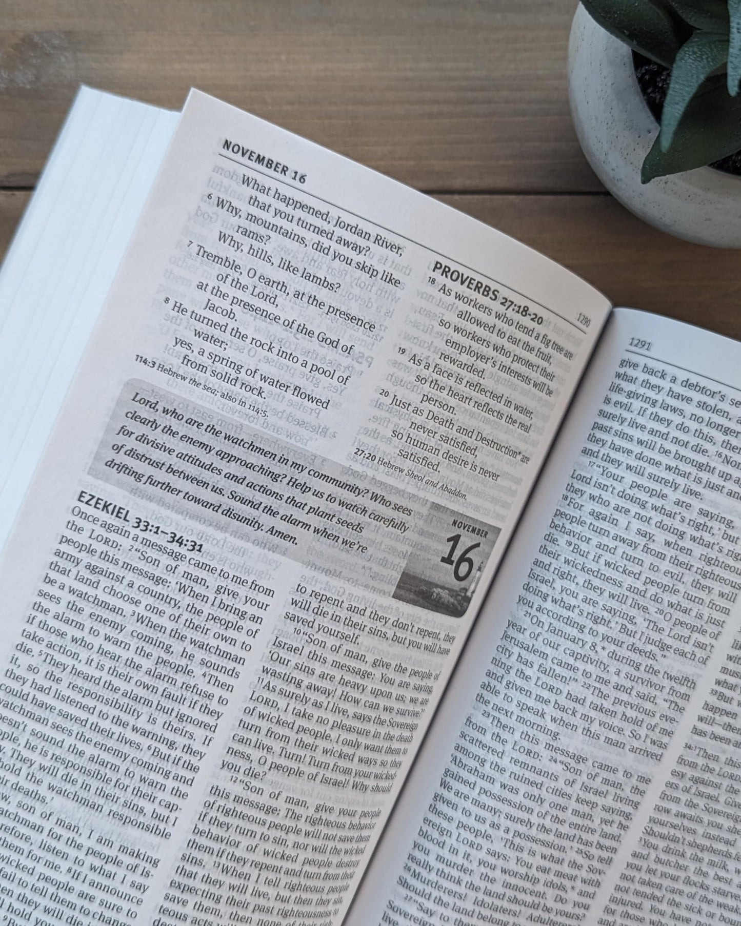 The One Year Pray for America Bible, NLT (Paperback) - Inspirational Daily Bible with Non-Partisan Prayer Prompts