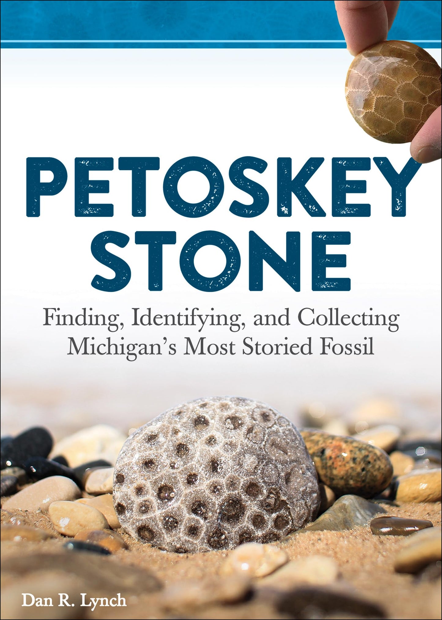 Petoskey Stone: Finding, Identifying, and Collecting Michigans Most Storied Fossil
