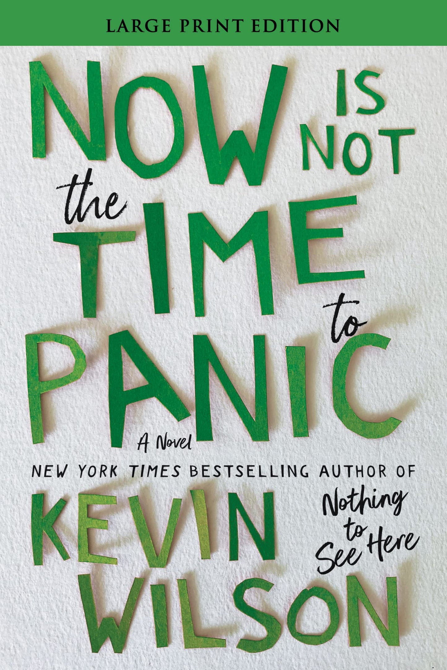 Now Is Not the Time to Panic: A Novel