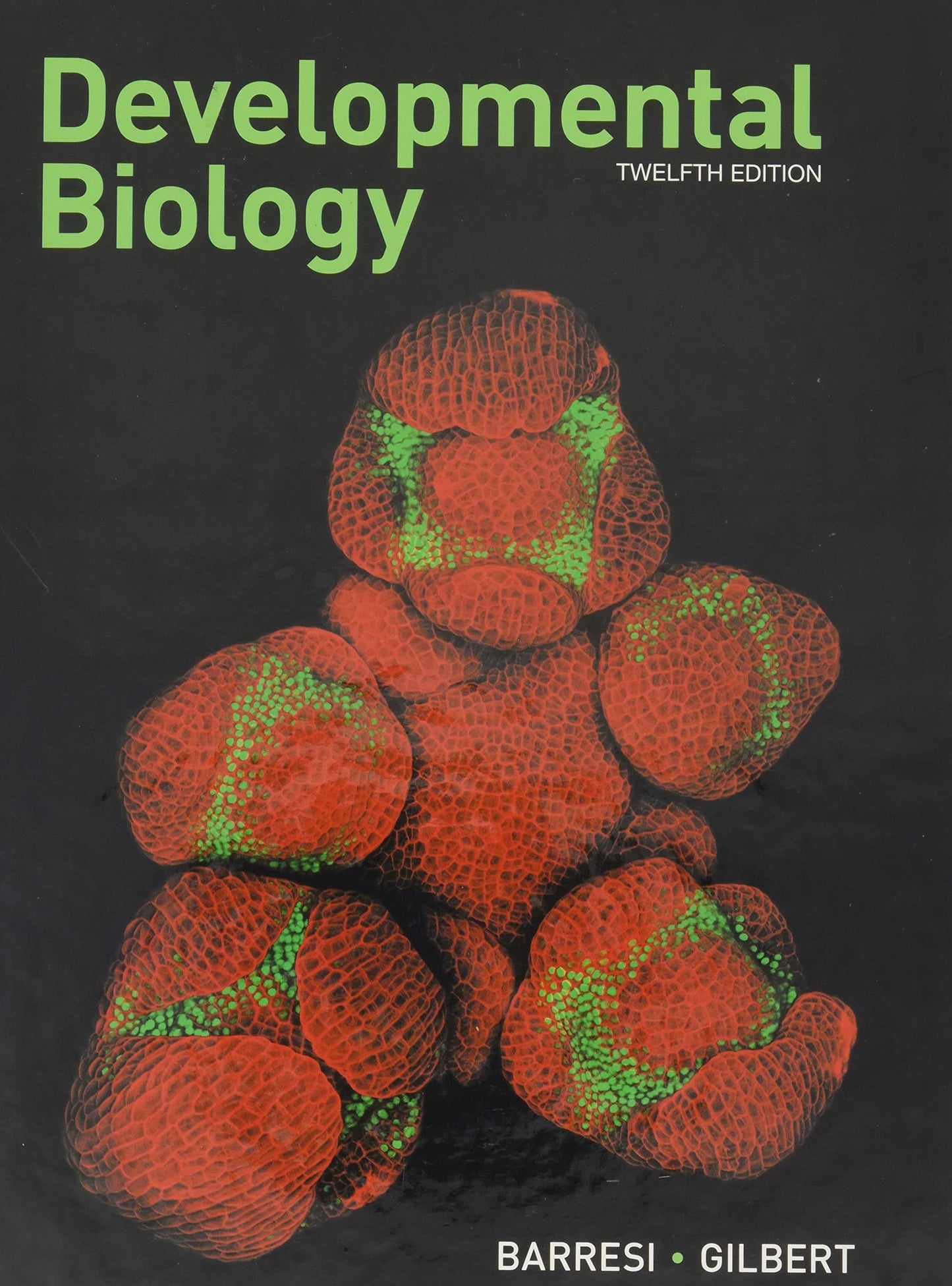 Developmental Biology by Barresi, Michael J.F.
