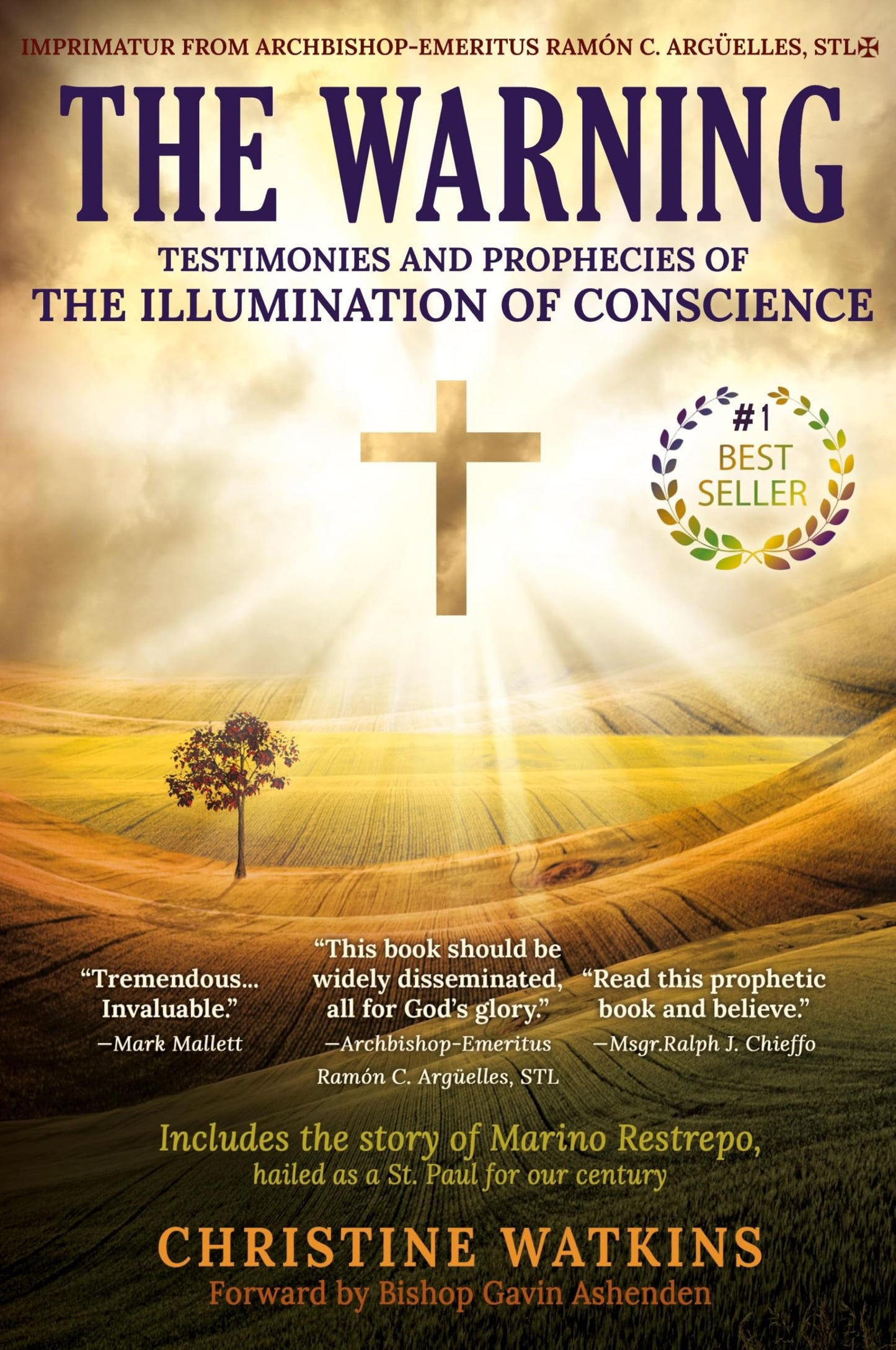 The Warning: Testimonies and Prophecies of the Illumination