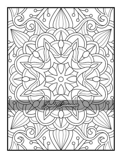 100 Amazing Patterns: An Adult Coloring Book with Fun, Easy, and Relaxing Coloring Pages