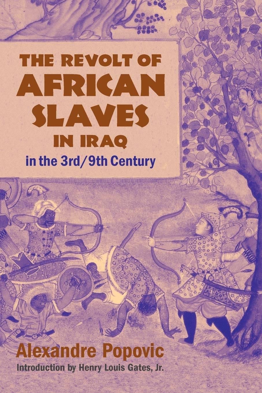 The Revolt of African Slaves in Iraq in the 3rd / 9th Century (Princeton Series on the Middle East)