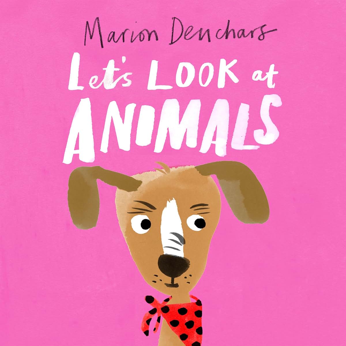 Let's Look at... Animals: Board Book