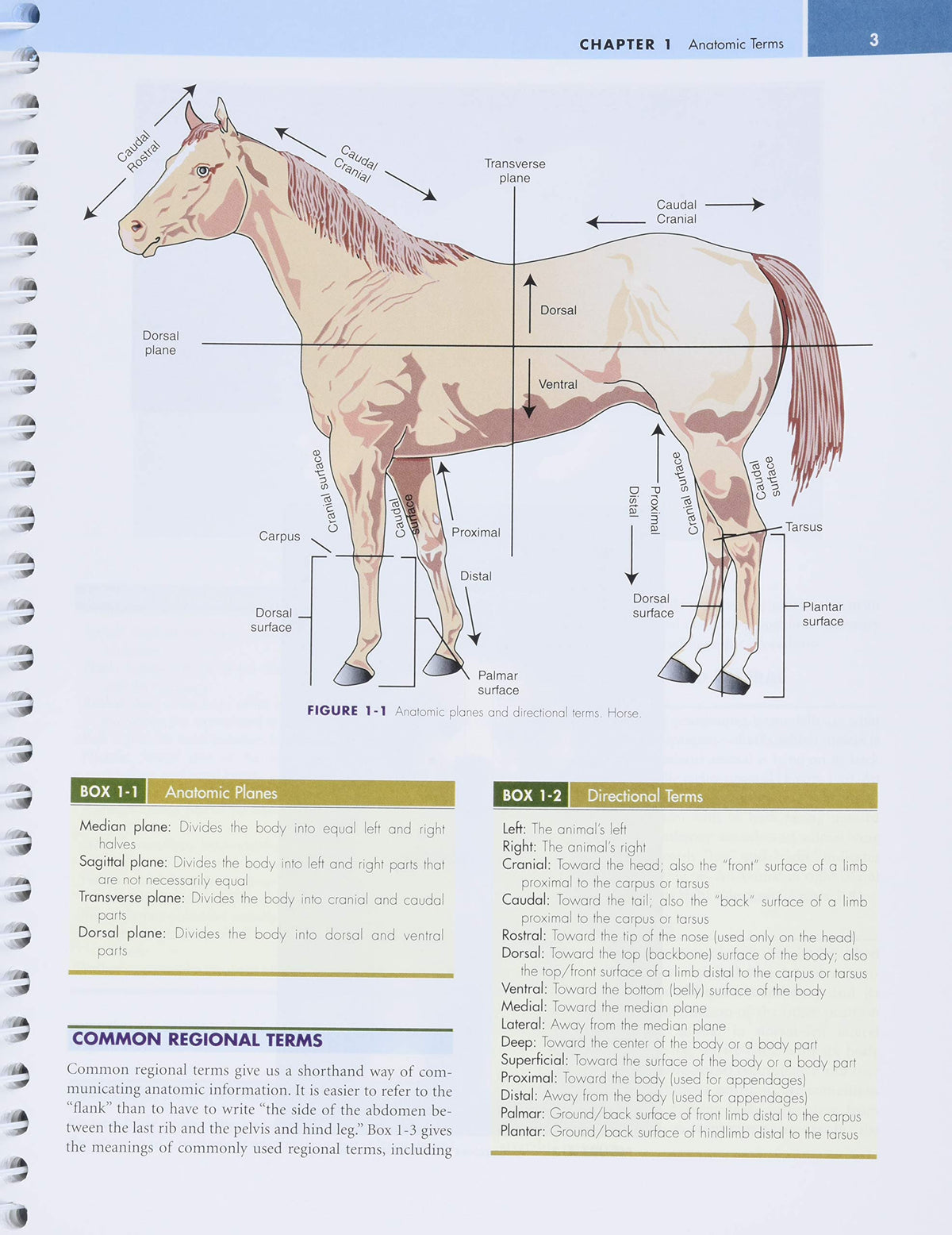 Laboratory Manual for Clinical Anatomy and Physiology for Veterinary Technicians