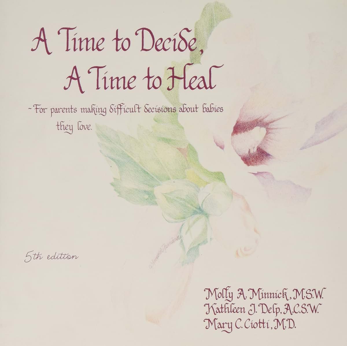 A Time to Decide a Time to Heal: For Parents Making Difficult Decisions About Babies They Love