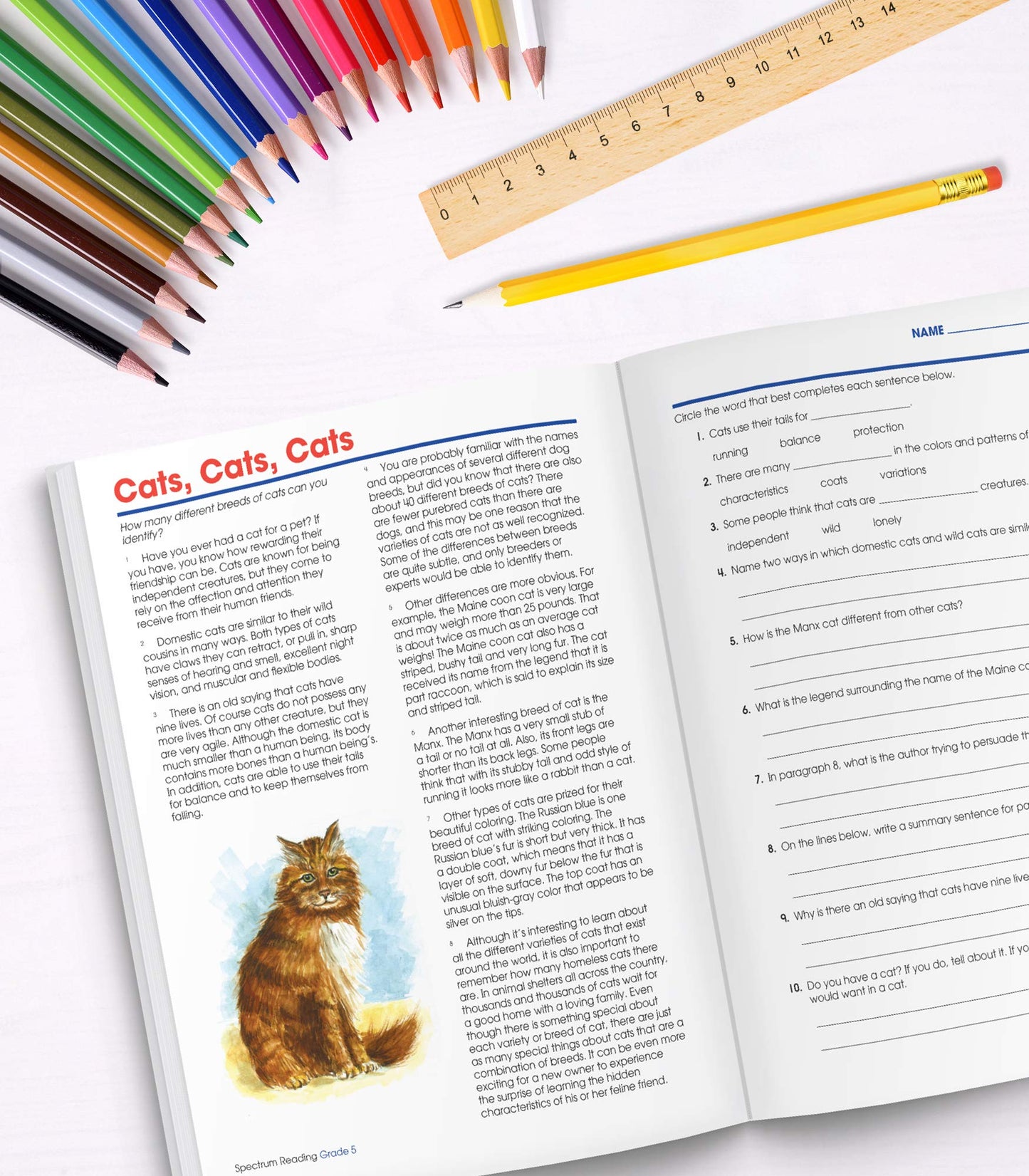 Spectrum Reading Comprehension Grade 5 Workbooks, Ages 10 to 11, 5th Grade Reading Comprehension, Nonfiction and Fiction Passages, Summarizing Stories and Identifying Themes - 174 Pages