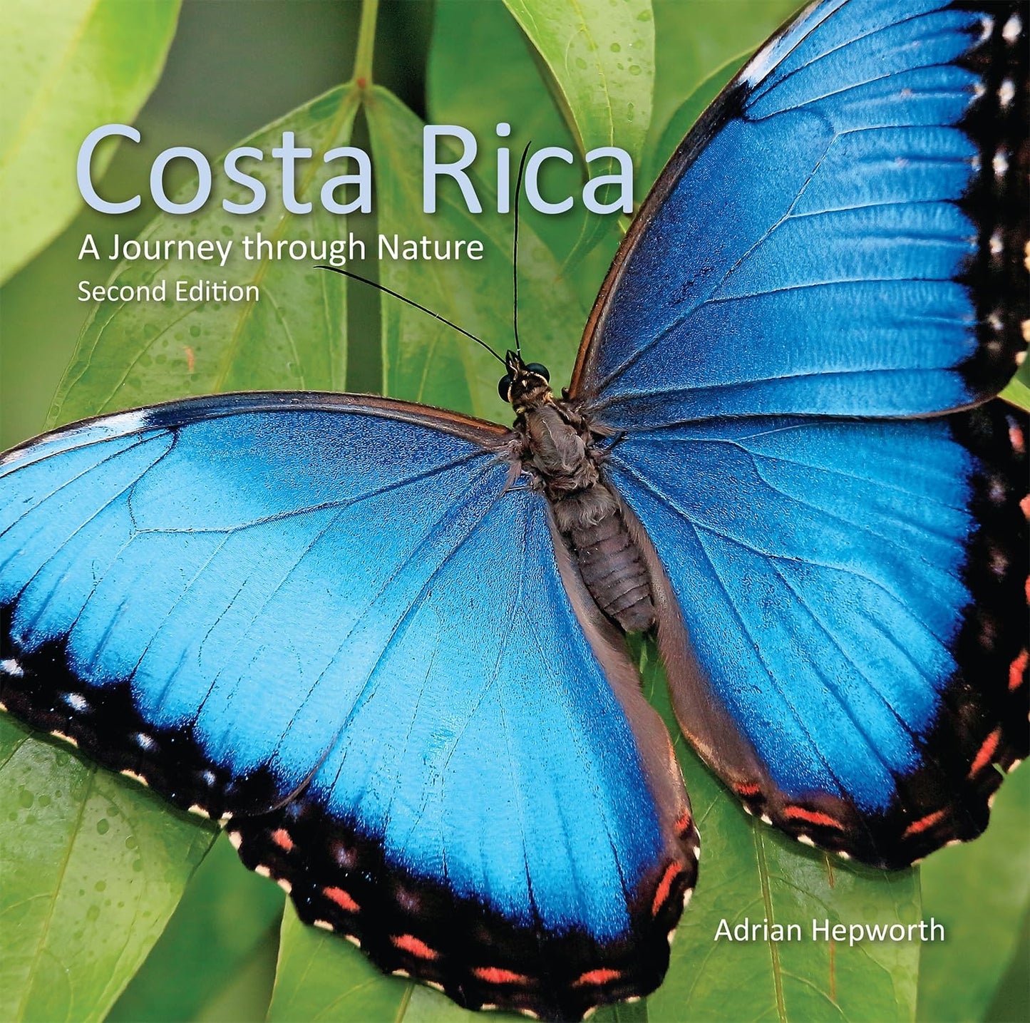 Costa Rica: A Journey through Nature (Zona Tropical Publications)