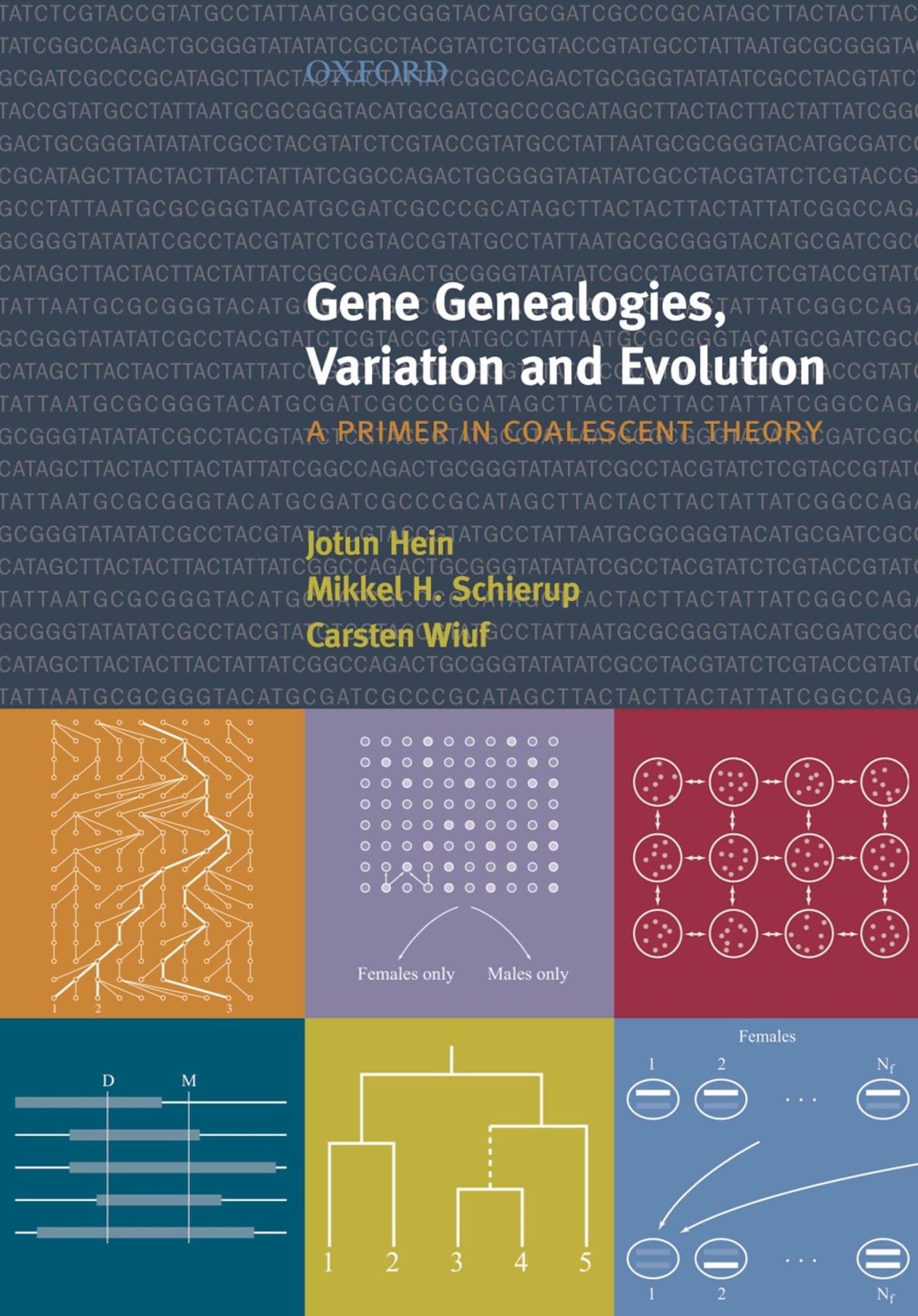 Gene Genealogies, Variation and Evolution: A Primer in Coalescent Theory