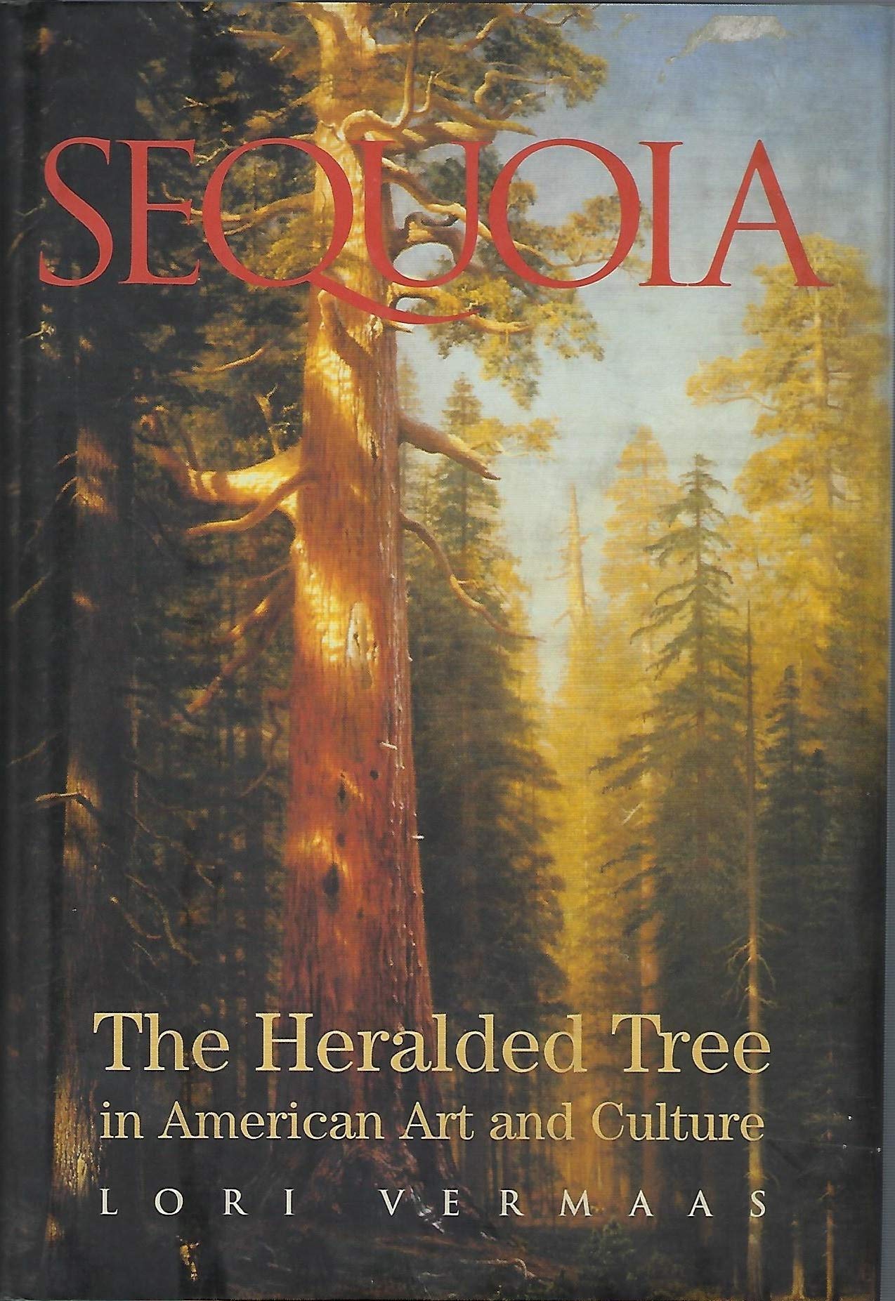 Sequoia: The Heralded Tree In American Art and Culture