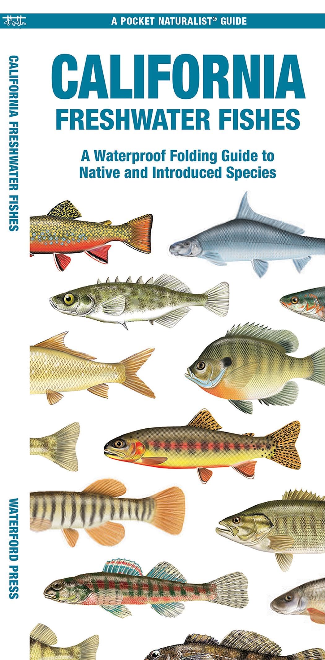 California Freshwater Fishes: A Folding Guide to Native and Introduced Species (Pocket Naturalist Guides)