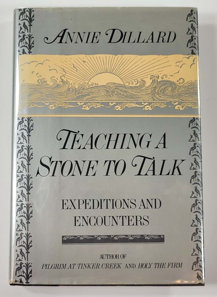 Teaching a Stone to Talk by Annie Dillard
