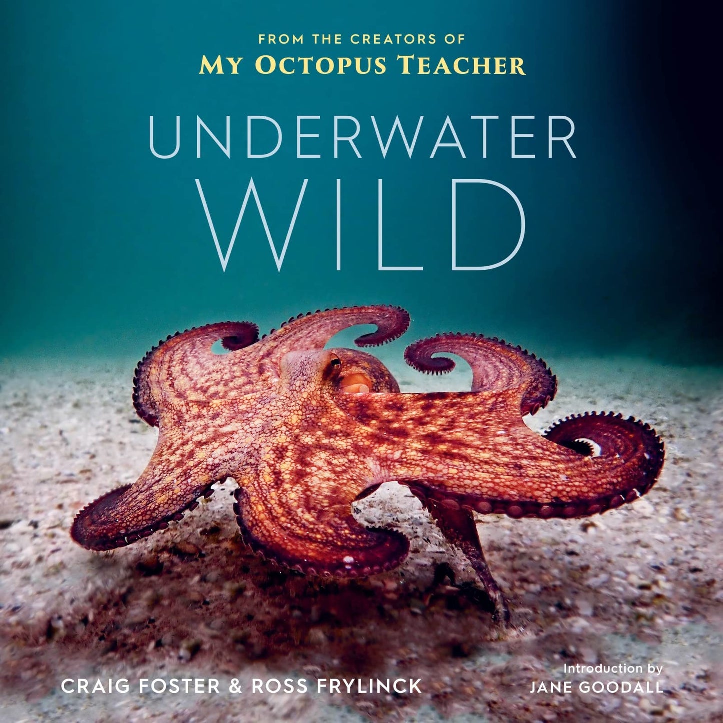 Underwater Wild: My Octopus Teacher's Extraordinary World by
