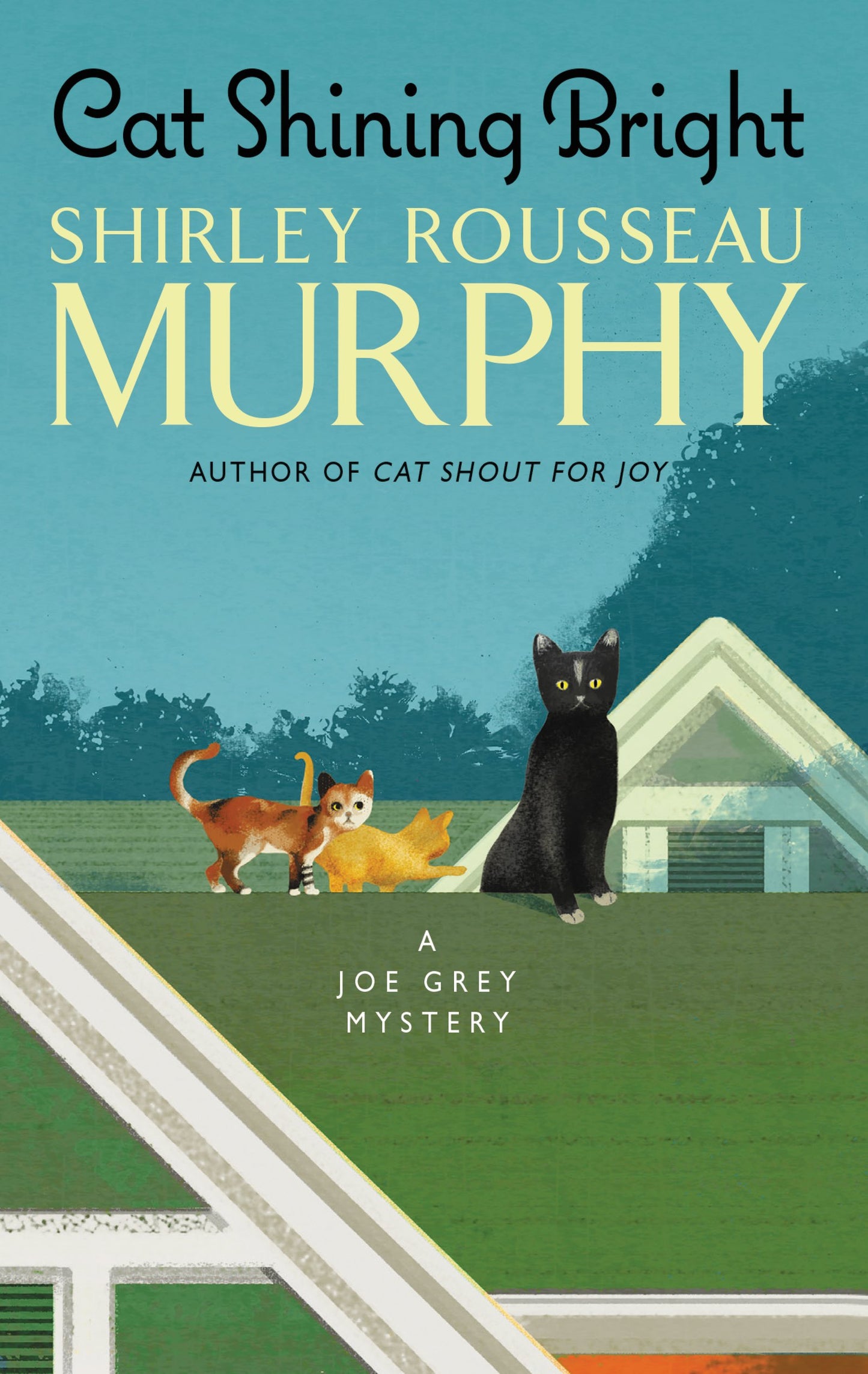 Cat Shining Bright: A Joe Grey Mystery (Joe Grey Mystery Series, 20)