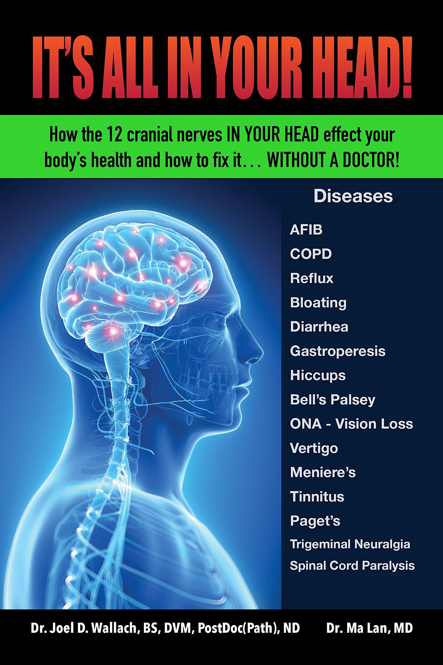 It's All in Your Head! How the 12 cranial nerves in your head effect your body's health and how to fix it... without a doctor!