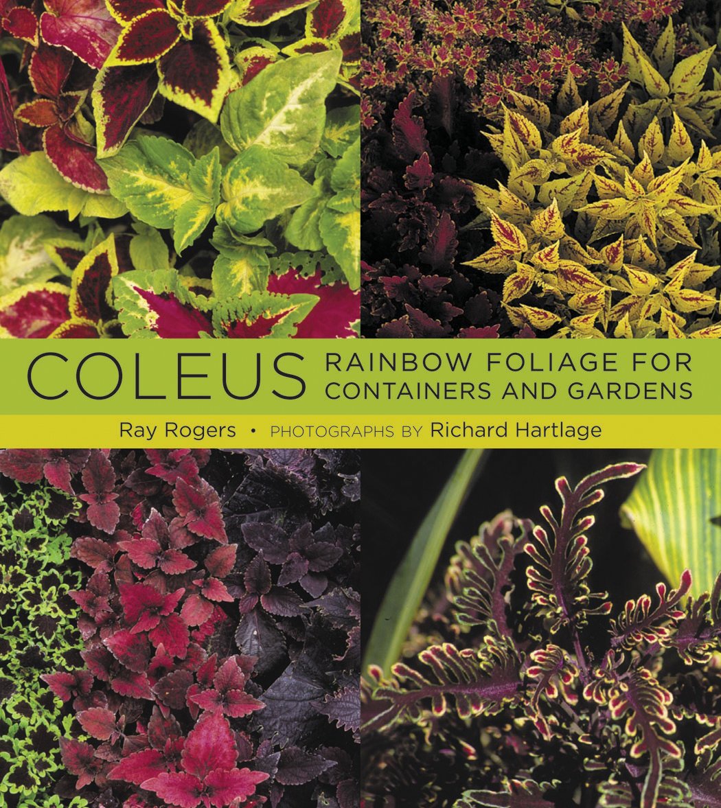 Coleus: Rainbow Foliage for Containers and Gardens by Rogers