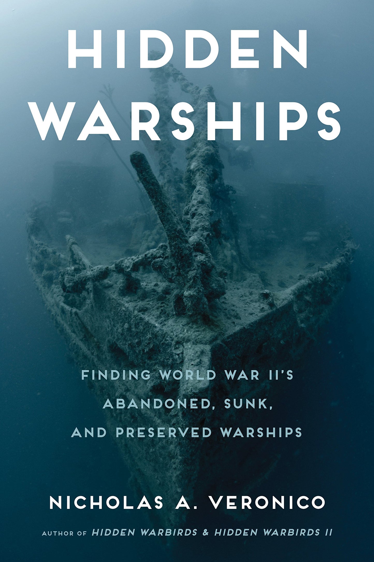 Hidden Warships: Finding World War II's Abandoned, Sunk, and