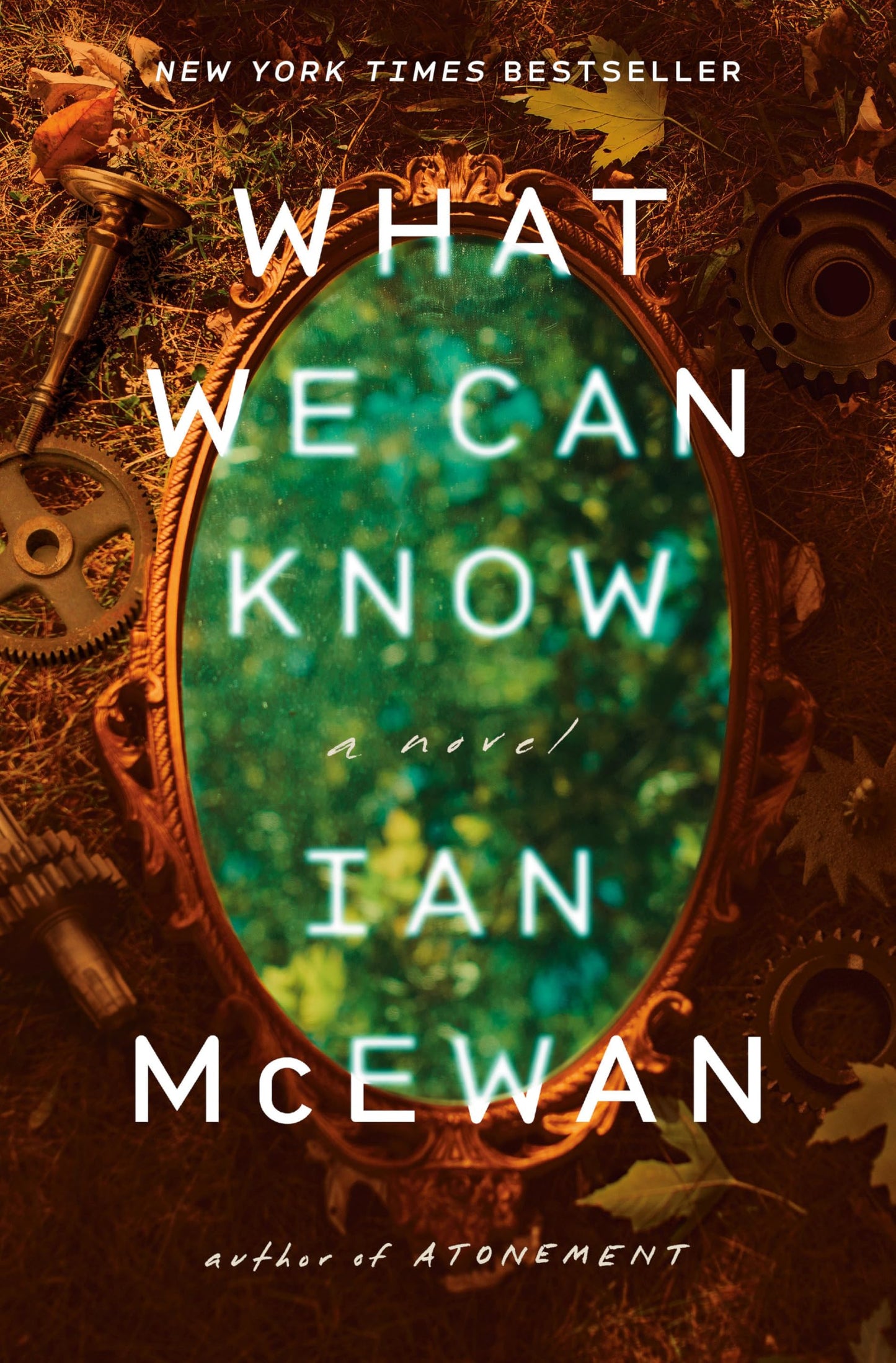 What We Can Know: A Novel