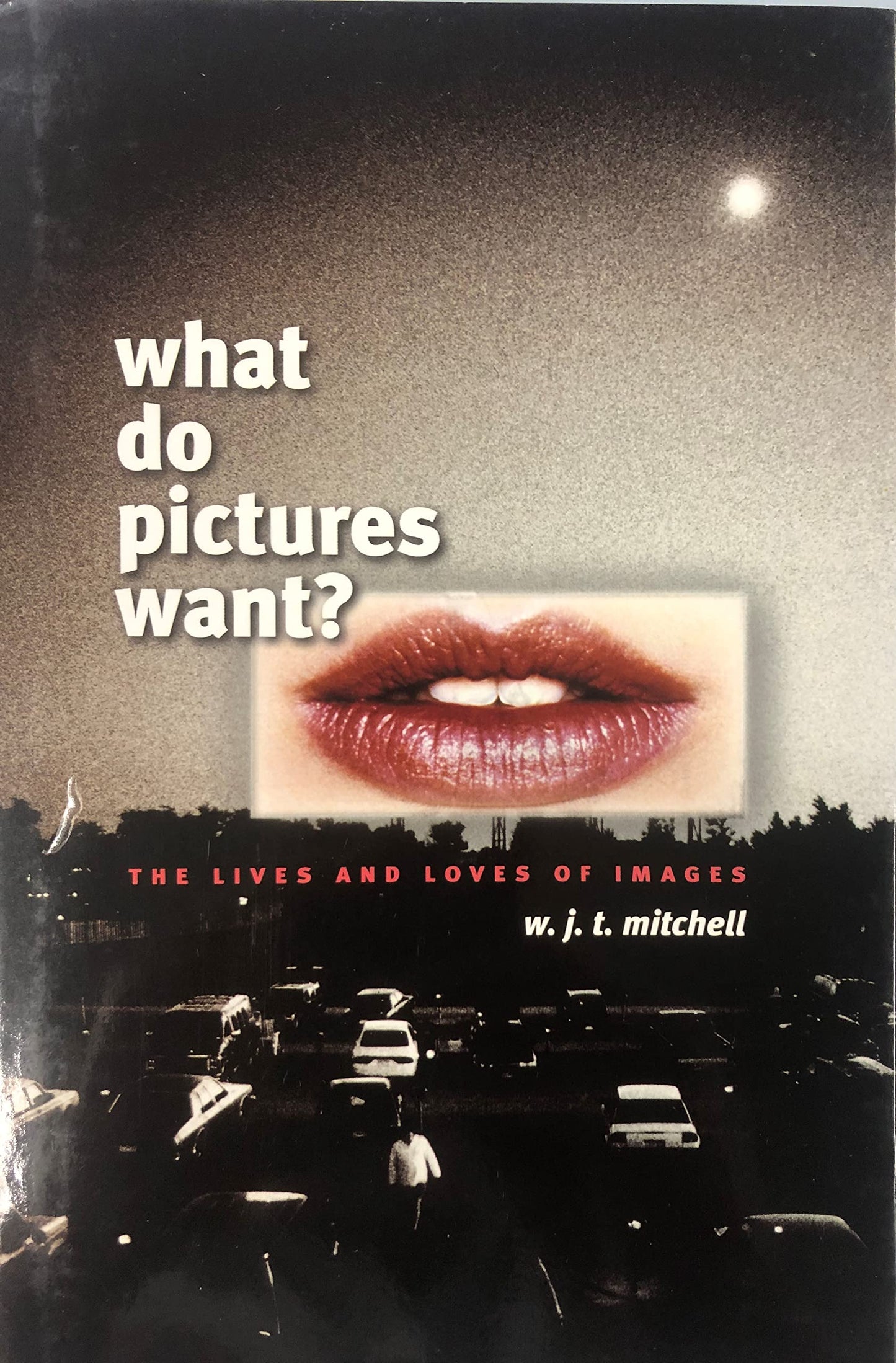 What Do Pictures Want?: The Lives and Loves of Images by Mit