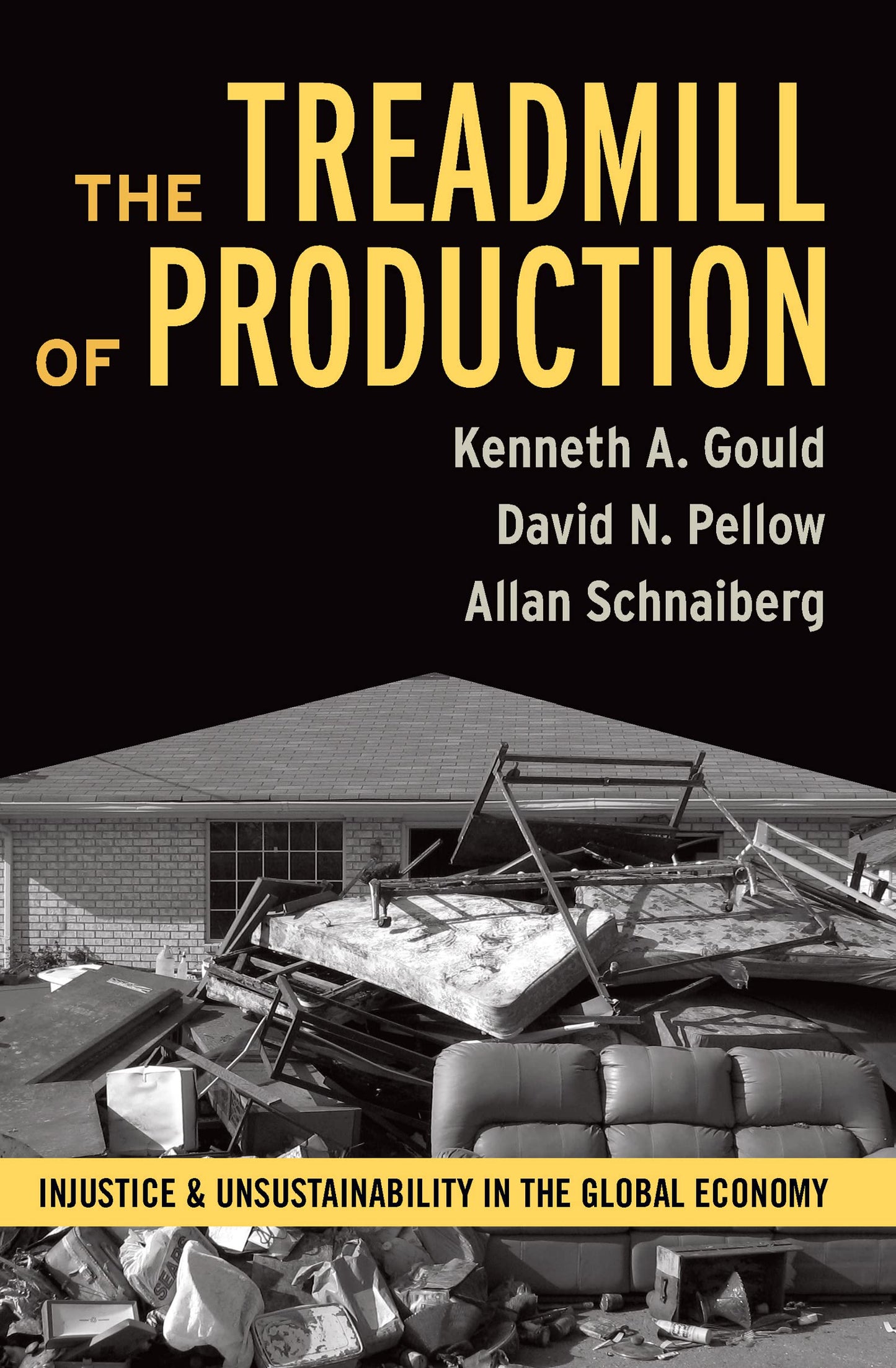 Treadmill of Production: Injustice and Unsustainability in the Global Economy (Advancing the Sociological Imagination Series)