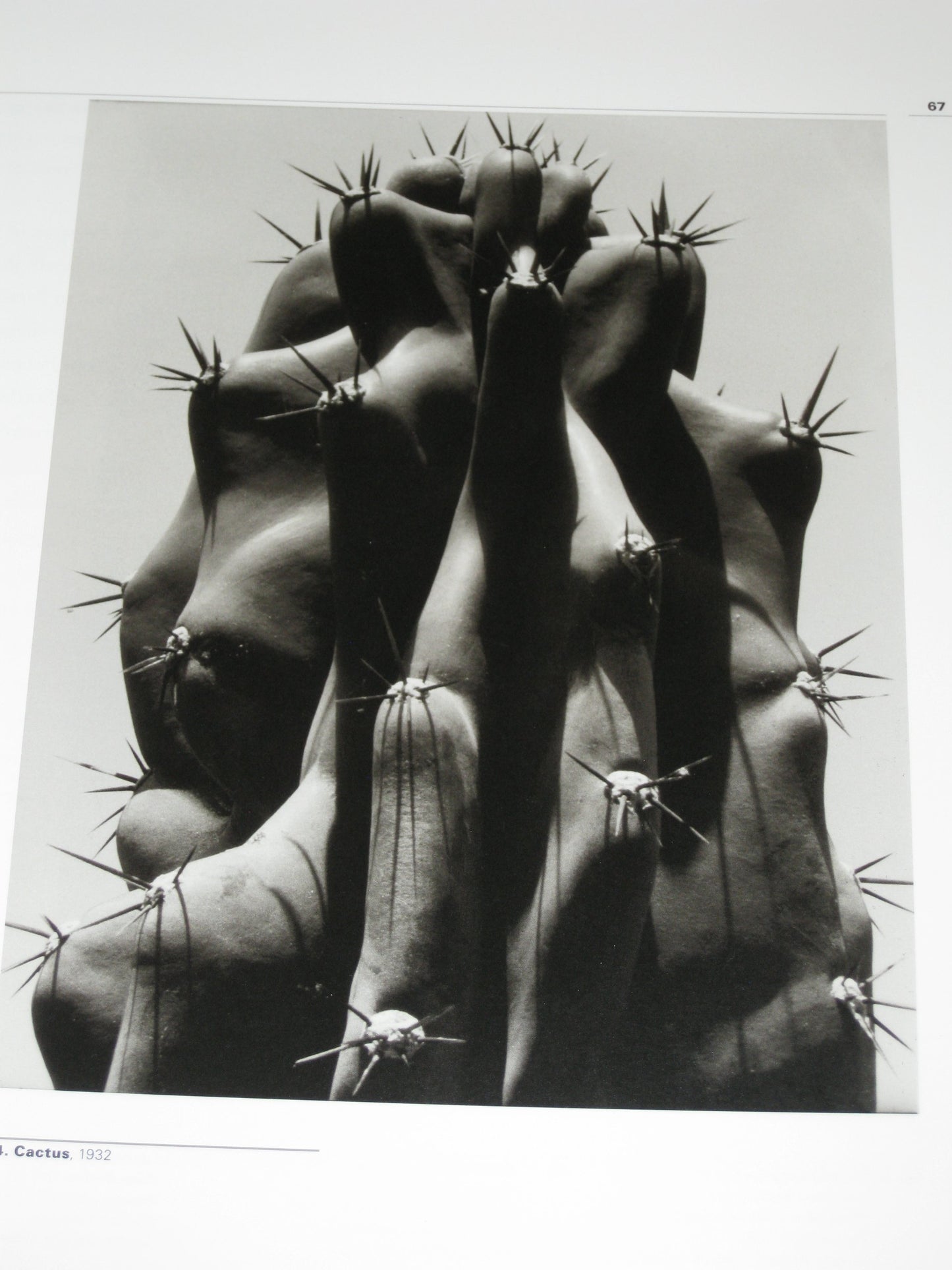 Brett Weston: Out of the Shadow by Weston, Brett; Phillips,