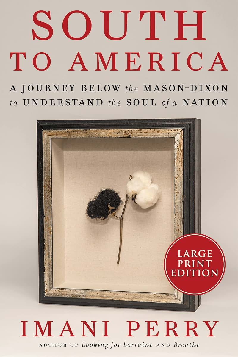 South to America: A Journey Below the Mason-Dixon to Underst
