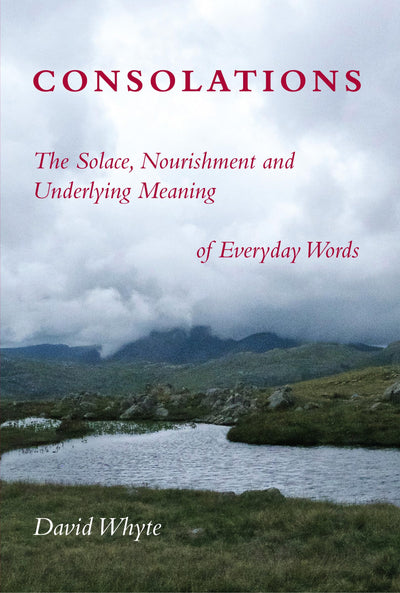 Consolations: The Solace, Nourishment and Underlying Meaning