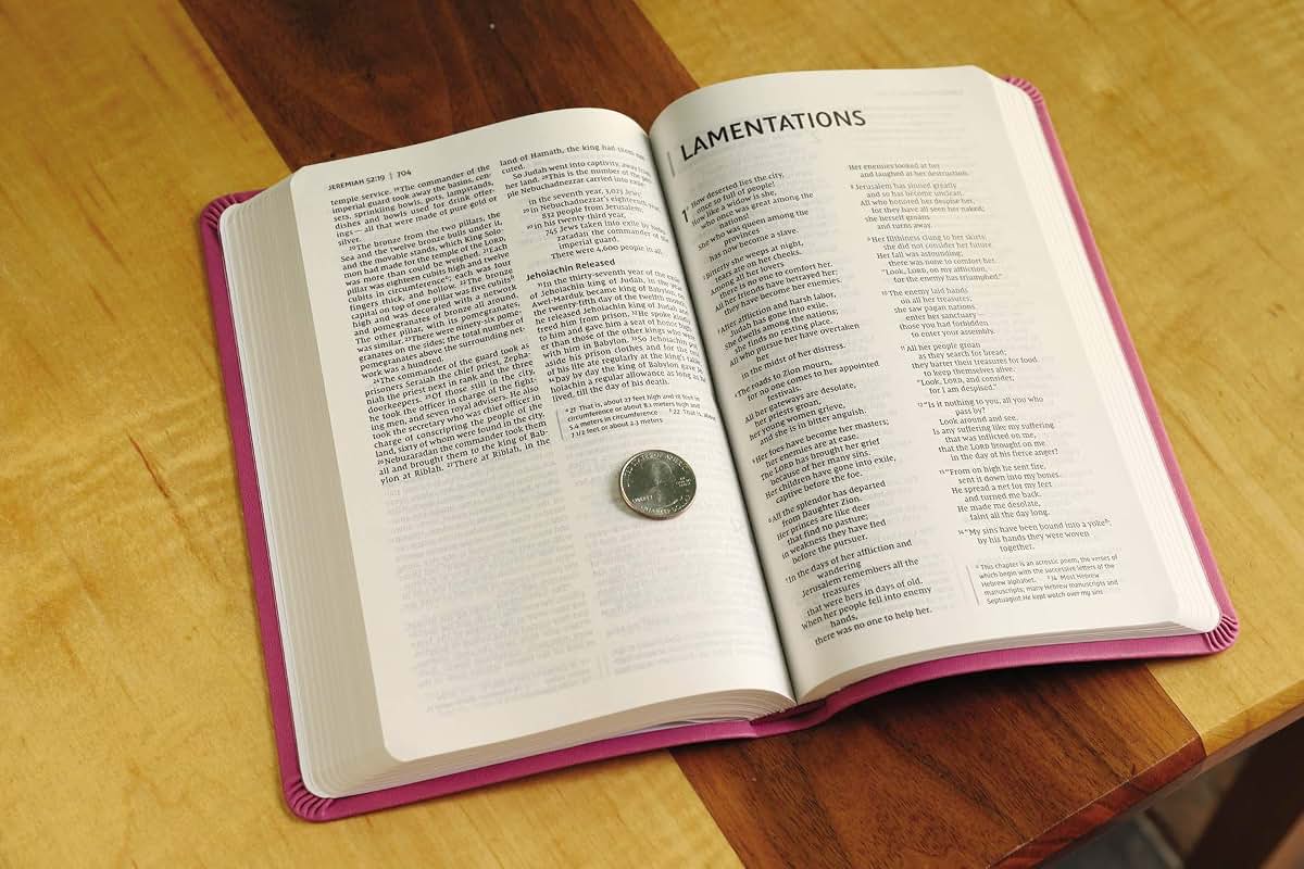 NIV Value Thinline Bible Leathersoft Pink Comfort Print