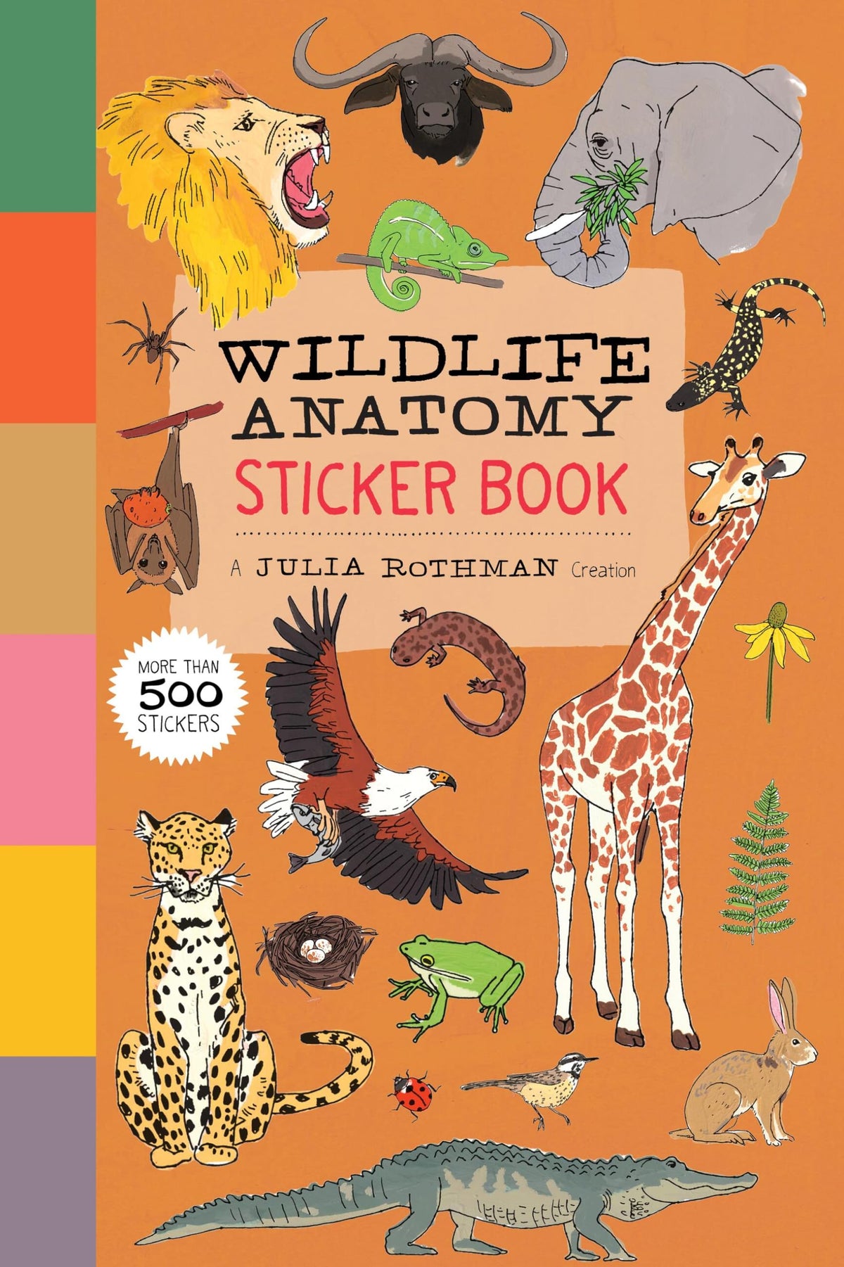 Wildlife Anatomy Sticker Book: A Julia Rothman Creation: More than 500 Stickers