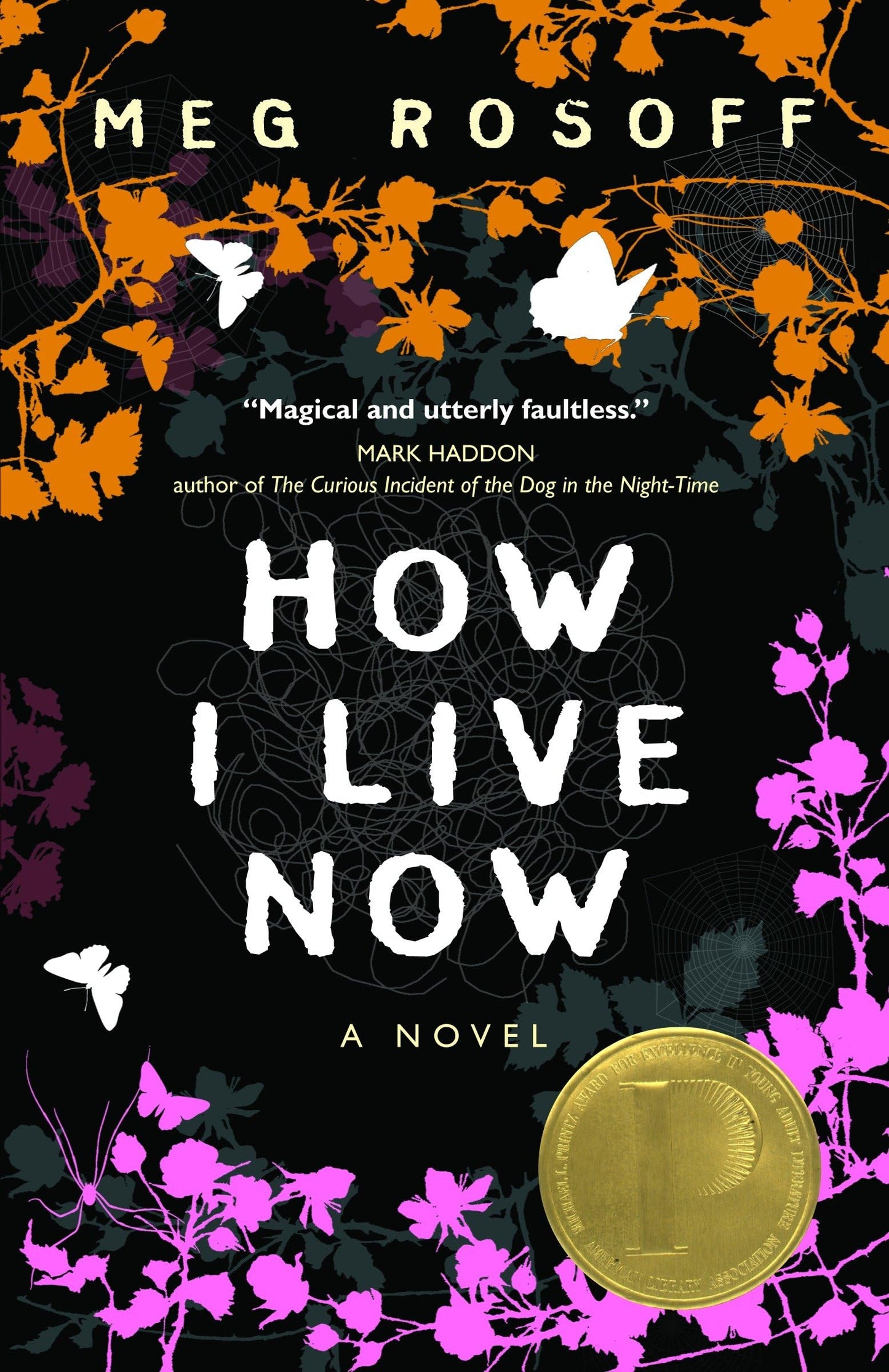 How I Live Now by Meg Rosoff (Paperback)