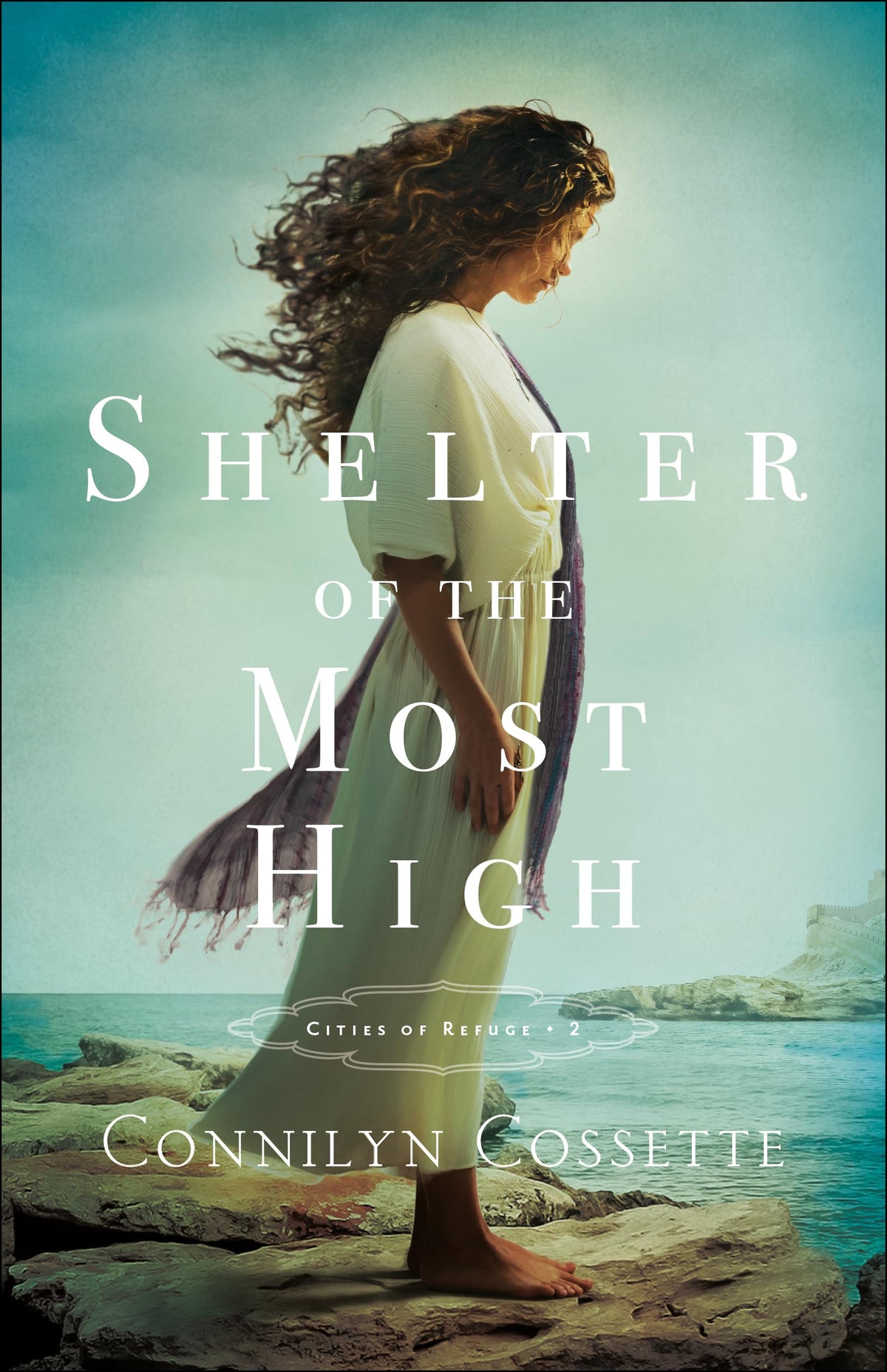 Shelter of the Most High: Historical Old Testament Biblical Fiction Series Set in the Promised Land (Cities of Refuge)