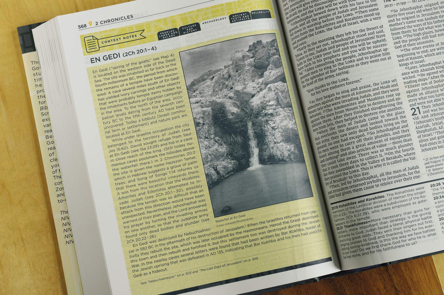 NIV, Starting Place Study Bible (An Introductory Study Bible