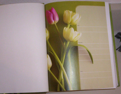 True Identity: The Bible for Women (TNIV) by Miakarts Books