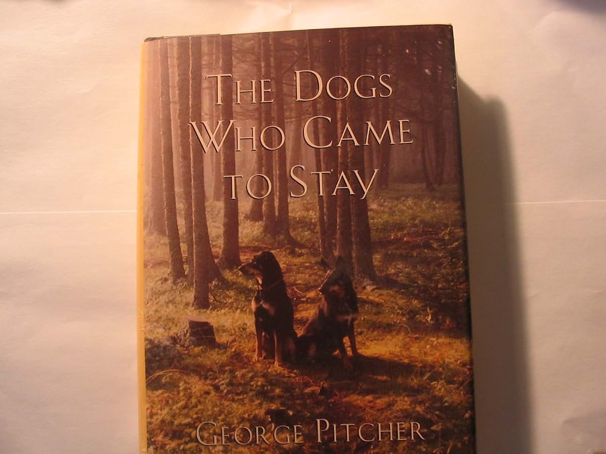 The Dogs Who Came to Stay