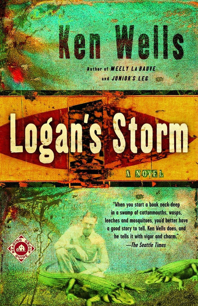 Logan's Storm: A Novel